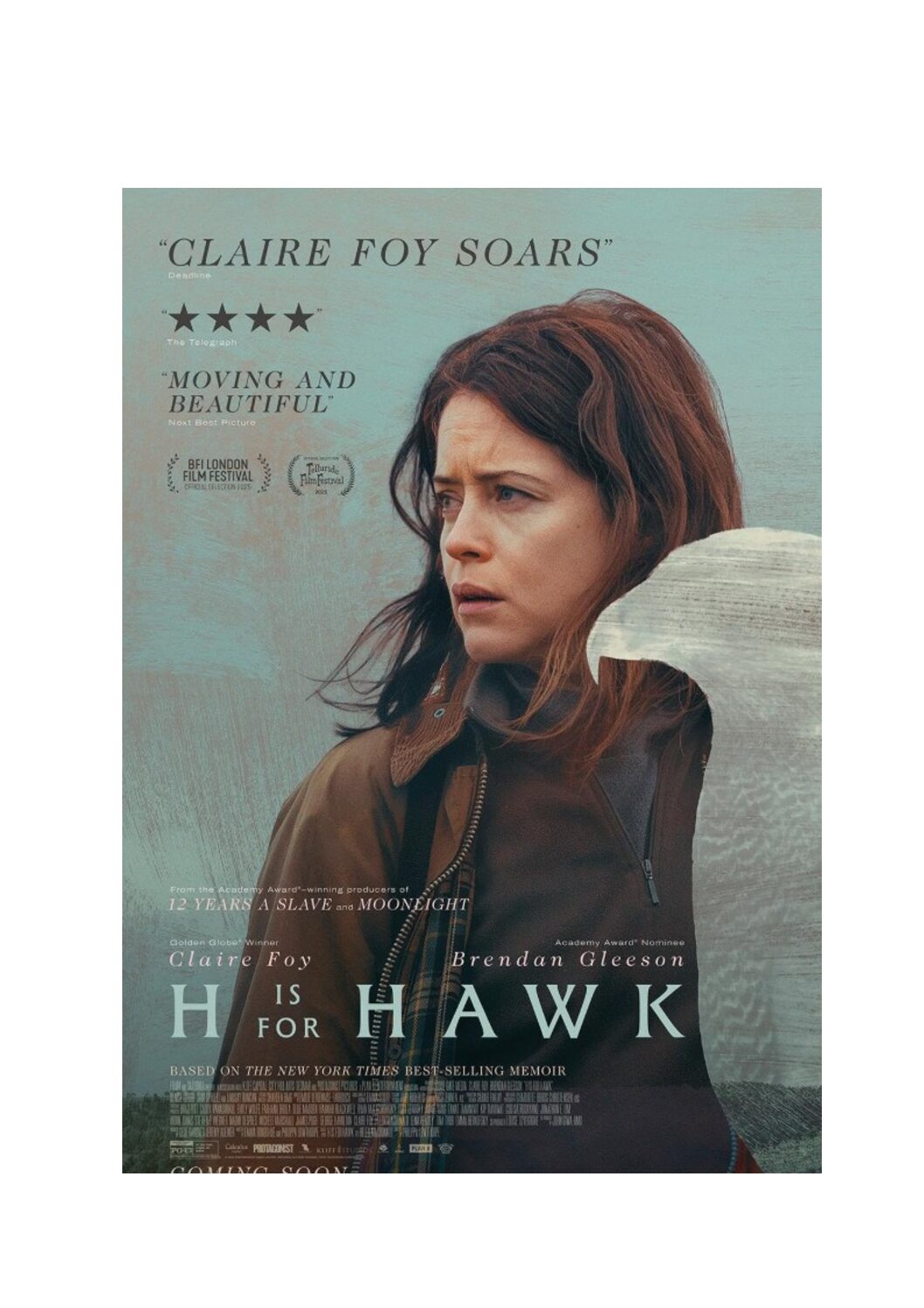 H is for Hawk